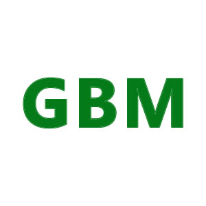 GBM brand logo